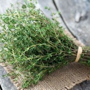 EURO HERBS THYME