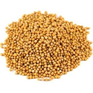 EURO MUSTARD YELLOW SEEDS