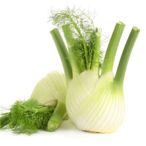 FENNEL BULB