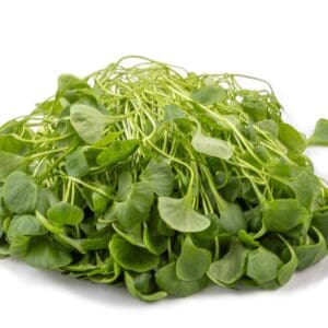 FRESH WATERCRESS BUNCHES
