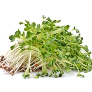 HEALTHY SPROUTS ALFALFA