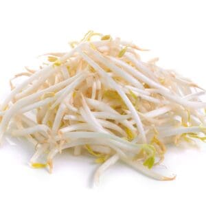 HEALTHY SPROUTS BEAN SPROUTS