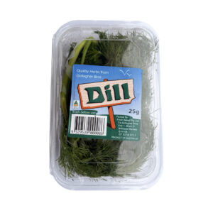 HERB FRESH DILL