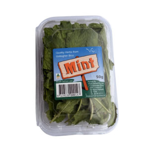 HERB FRESH MINT
