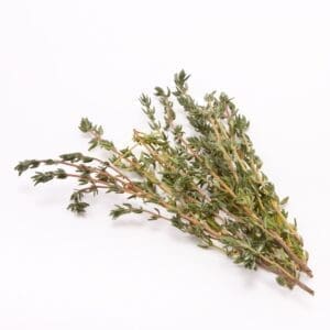 HERB FRESH THYME