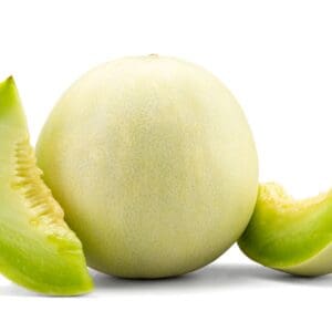 HONEYDEW MELON