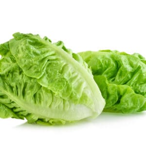 LETTUCE BABY COS TWIN PACK