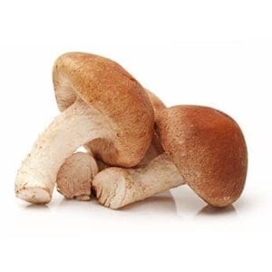 MUSHROOMS FRESH SHIITAKE