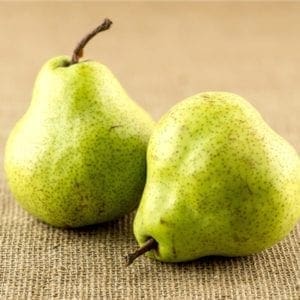 PEARS WILLIAM LARGE
