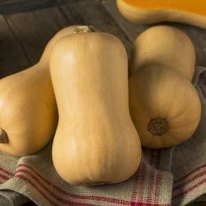 PUMPKIN BUTTERNUT
