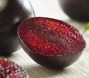 QUEEN GARNET PLUMS TUBS